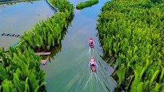 Công nhận điểm du lịch “Rừng dừa nước Tịnh Khê”