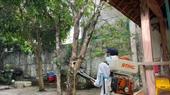 Bệnh ho gà “tái xuất” ở Quảng Ngãi