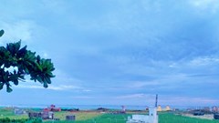 Hỗ trợ từ 10 - 15 triệu đồng/trường hợp thực hiện hỏa táng tại các địa phương