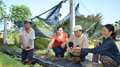 Nuôi ốc bươu đen mở ra cơ hội khởi nghiệp mới cho người dân Hành Dũng