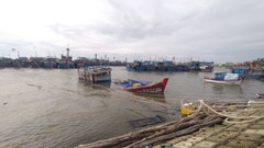 Ba tàu cá Quảng Ngãi bị sóng đánh chìm trong lúc tránh trú bão số 3