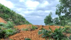 Rà soát các khu dân cư, nhà dân, trụ sở cơ quan, đơn vị nằm trong vùng có nguy cơ cao sạt lở