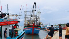 Quảng Ngãi còn hơn 3.400 lao động đang hoạt động trên các vùng biển