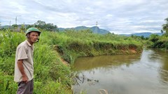 Nỗi lo sợ sạt lở bờ sông mùa mưa bão