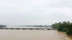 Cấm phương tiện lưu thông khi lũ trên sông Vệ đạt mức báo động 3