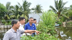 TP Quảng Ngãi: Phát triển nuôi trồng thuỷ sản góp phần chuyển dịch cơ cấu kinh tế, giải quyết việc làm, xoá đói giảm nghèo