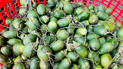 Nông dân cần cẩn trọng với giá cau tăng kỷ lục