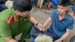 Khởi tố 2 chủ cơ sở sử dụng hóa chất cấm để sản xuất giá đỗ