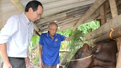 Hành Phước trao sinh kế phù hợp, giúp dân thoát nghèo bền vững