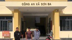 Bắt quả tang nhiều đối tượng trộm cau