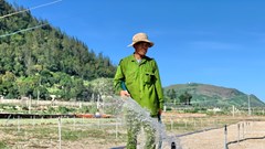 Công trình cấp nước ở đảo Lý Sơn chỉ đáp ứng khoảng 30% nhu cầu sử dụng nước của người dân 