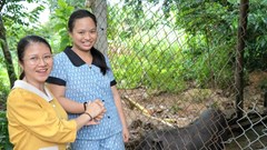 Mô hình “Ngân hàng heo giống” mang lại hiệu quả cho người nghèo ở Hành Phước