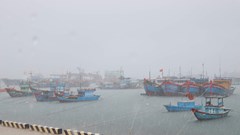 Quảng Ngãi tạm hoãn tất cả các cuộc họp chưa thật sự cần thiết để tập trung vào công tác phòng, chống bão số 6