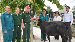 Lực lượng vũ trang TP Quảng Ngãi chung sức, đồng hành giúp người dân vươn lên thoát nghèo 