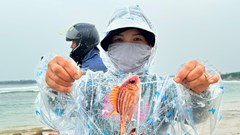 Cấm khai thác thủy sản có thời hạn vùng biển ven bờ