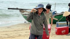 Nhọc nhằn mưu sinh mùa biển động