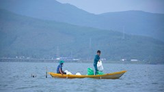 Vợ chồng ngư dân lật ghe tử vong trong đêm do mưa lớn