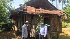 Chọn huyện miền núi Ba Tơ thực hiện thí điểm chương trình xóa nhà tạm, nhà dột nát