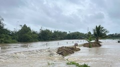 Lũ các sông ở Quảng Ngãi lên nhanh