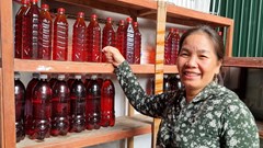 Khởi nghiệp thành công với nghề nước mắm truyền thống