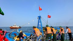 Quảng Ngãi tích cực thực hiện chống khai thác IUU