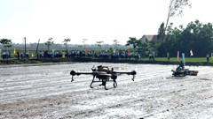 Quảng Ngãi đẩy mạnh chuyển đổi số trong nông nghiệp