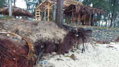 Bờ biển Quảng Ngãi bị xâm thực, sạt lở nghiêm trọng