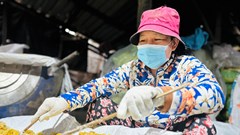 Mứt gừng Quảng Ngãi “đỏ lửa” vào vụ đón Tết