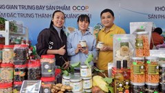 TP Quảng Ngãi trưng bày sản phẩm OCOP và sản phẩm đặc trưng