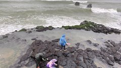 Hai người bị sóng cuốn rơi xuống biển khi hái rong mứt