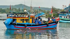 Ngư dân Quảng Ngãi phấn khởi đón “lộc biển” đầu Xuân