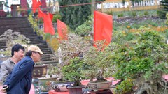 Thỏa niềm đam mê, nâng cao thu nhập từ sinh vật cảnh