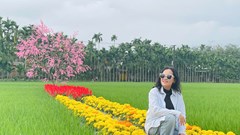 Cánh đồng lúa và hoa ở làng du lịch cộng đồng Bình Thành