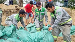 Hàng trăm người xúc cát, dồn bao làm kè bảo vệ bờ biển Mỹ Khê