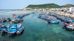 Quảng Ngãi quyết liệt thực hiện chống khai thác IUU