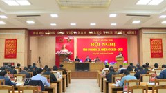 Quảng Ngãi dừng thực hiện chủ trương tuyển dụng cán bộ, công chức 