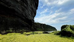 Mùa rêu phủ xanh trên trầm tích núi lửa Lý Sơn