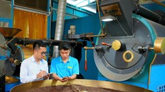 Thanh niên Quảng Ngãi với khát vọng làm giàu 