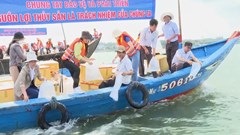 Bảo vệ, tái tạo nguồn lợi thủy sản để phát triển bền vững