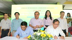 Quảng Ngãi tăng cường đổi mới, sáng tạo trong xây dựng sản phẩm du lịch