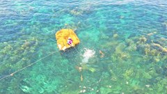 Phát triển sinh kế gắn với bảo vệ rong mơ ở vùng biển Quảng Ngãi