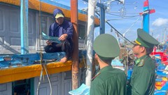 Xử lý nghiêm các vi phạm về khai thác thủy sản IUU