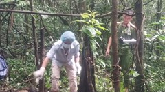 Lên rừng tìm mật ong, “tá hỏa” phát hiện bộ hài cốt