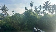 Ô tô rơi xuống sông, hai ông cháu may mắn được cứu kịp thời