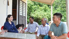 Hiệu quả thiết thực từ các mô hình của Dự án 8