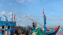 Quảng Ngãi quyết tâm chấm dứt tình trạng tàu cá vi phạm khai thác IUU