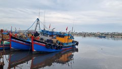 Quảng Ngãi kêu gọi tàu thuyền ra khỏi vùng nguy hiểm do bão số 1