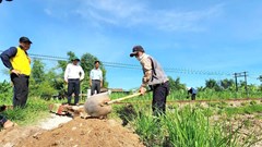 Địa phương đầu tiên của Quảng Ngãi hoàn thành xóa lối đi tự mở qua đường sắt