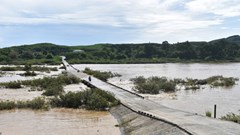 Quảng Ngãi đề xuất 350 tỉ đồng xây mới cầu Thạch Nham