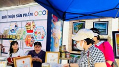Quảng Ngãi mới có 640 sản phẩm OCOP từ 3 sao trở lên